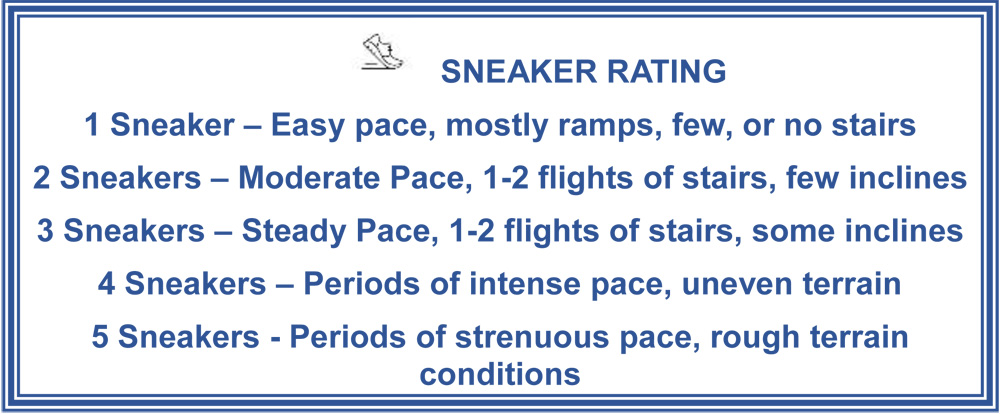 Sneaker Rating